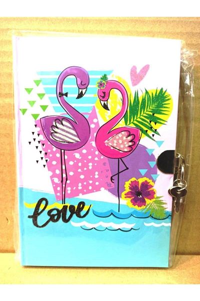 DNC Locked - Memory/Souvenir/Diary Notebook