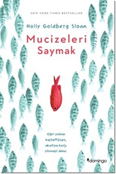 Domingo Yayınevi Mucizeleri Saymak