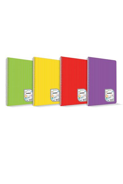 ÇINAR DEFTER Çınar Colormaxi A4 96 Sheets Spiraled - 2 Plaids + 2 Lined Notebook