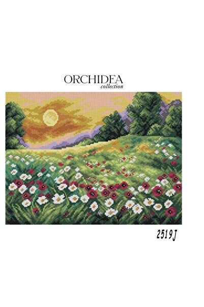 Orchidea Kit de broderie tapiserie 30x40