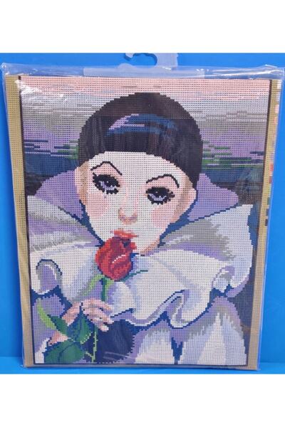 EleganTShoP Vervaco 6003 Goblen Yün Işleme Kiti Etamin Pano Tablo