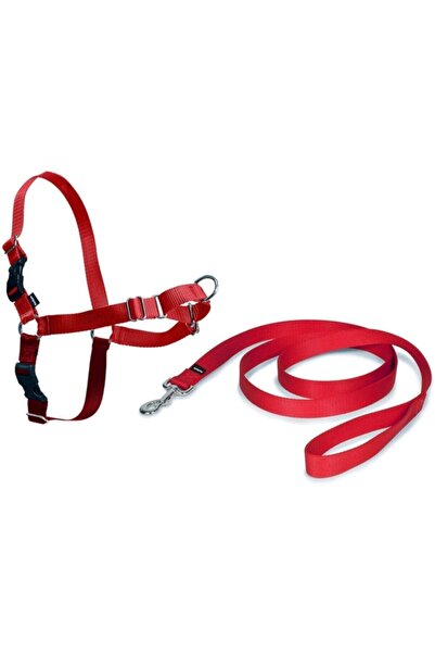 PetSafe Easy Walk Harness Kırmızı Köpek Göğüs Tasması Small 38-51 Cm