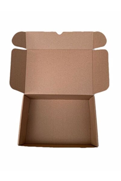 feyza teknik E Ticaret Karton Kargo Kutusu 24 X 16 X 6 Cm 25 Adet
