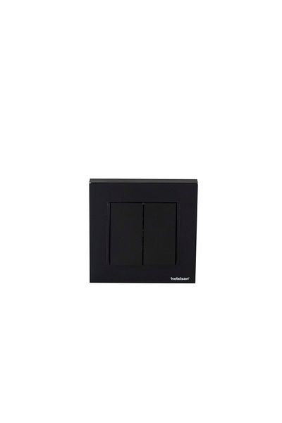 Netelsan Byobu Black Commutator Framed