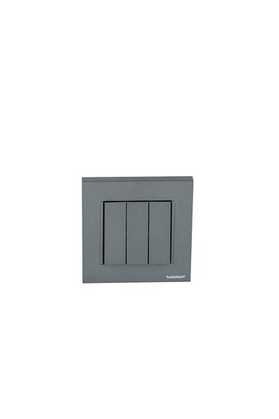 Netelsan Byobu Smoked Triple Switch Framed