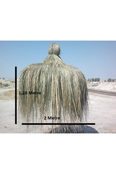 tunalar Hasır Püskül Otu Dekoratif Amaçlı Kullanılır 1,20 Metre X 2 Metre