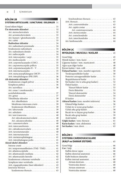 Nobel Tıp Kitabevleri Çekirdek Eğitim Programı Çerçevesinde Temel Insan Anatomisi 2.baskı