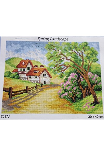 Orchidea Kit de broderie goblen