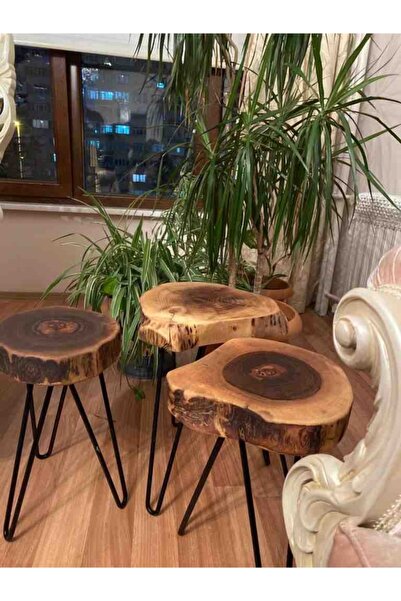 Ahşap Center Ceviz Kütük Sehpa Doğal Ağaç Sehpa