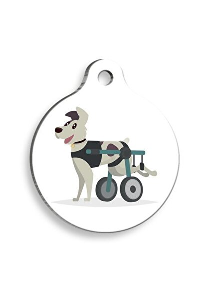 Pet Tag Art Tekerlekli Sandalye Yuvarlak Kedi Ve Köpek Künyesi Small: 2,5 Cm.