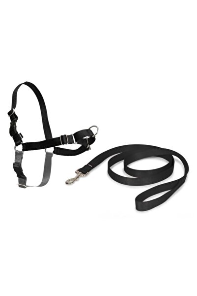 PetSafe Siyah Köpek Göğüs Tasması Extra Large