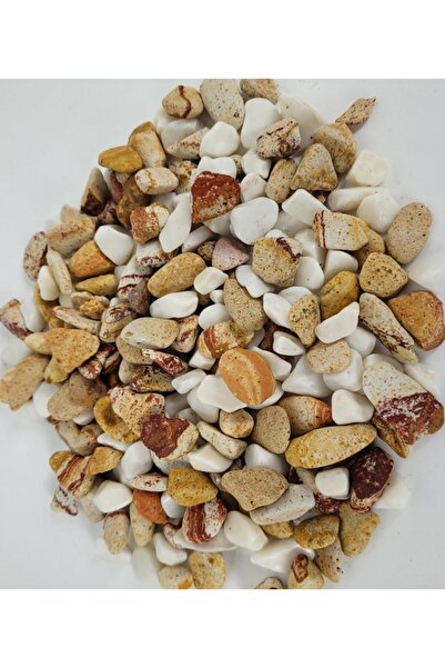 Asenya Akvaryum Taşı 1 Kg 1-2 Cm Karışık Renk Teraryum Taşı Dere Taşı Çakıl Taşı
