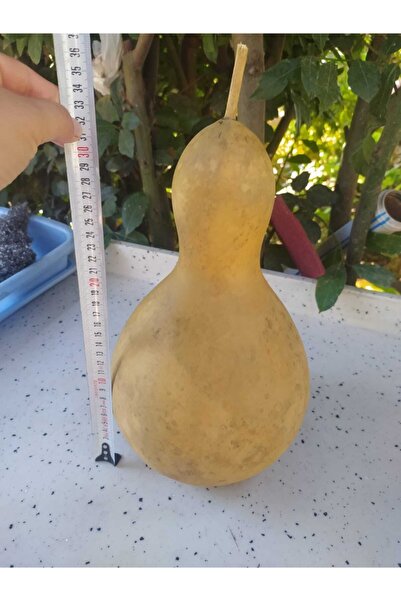 Alpha Tasarım Atölyesi Su Kabağı Büyük Boy Lamba Yapına Uygun Ham Şekilde