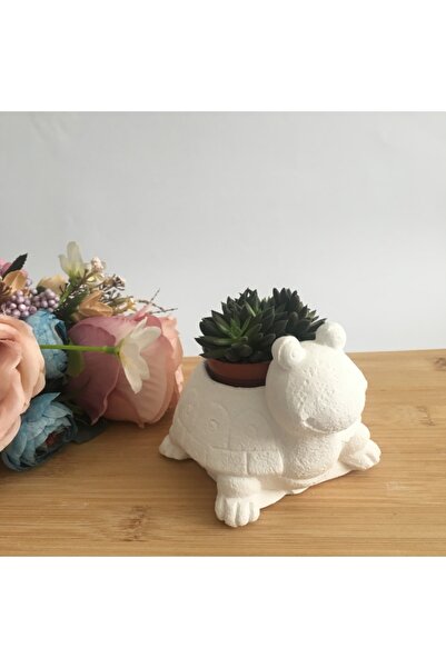 ebyastore Kaplumbağa Saksı Sukulent Saksısı Kaktüs Saksısı El Işçiliği Taş