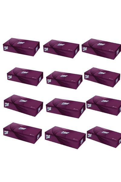 Selpak Professional Extra 12 Pack 80 Sheets Facial Tissue