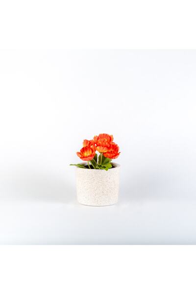 Topsan Aura 11cm Kahverengi Granit Desenli Beyaz Saksı