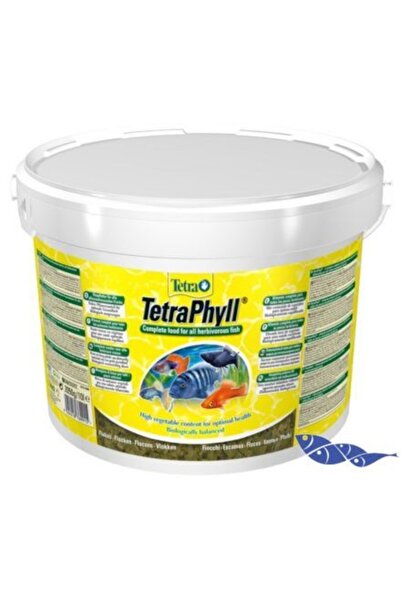 Tetra Phyll 50 gr ( Açık ) Poşette SKT:08/2027
