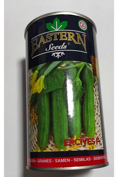 EASTERN SEEDS Eastern Hıyar Erciyes F1 2500 Adet