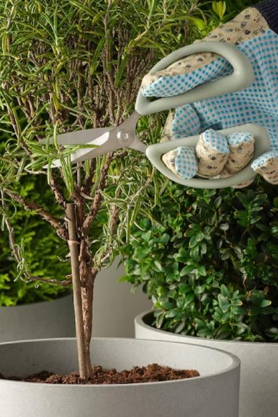 IKEA Brytböna Plant Pruning Scissors Light Green 16 Cm
