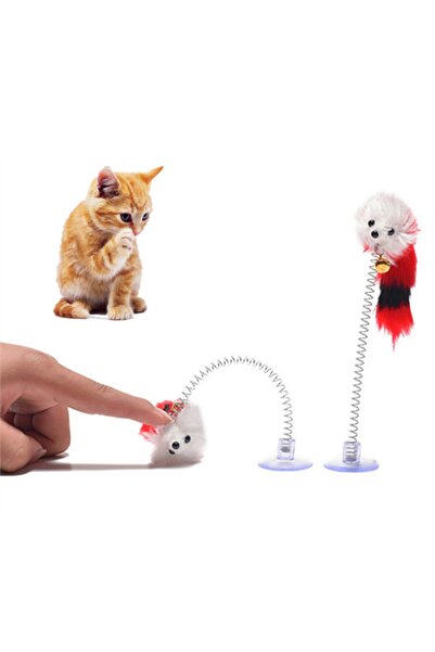 Mixpet Hacı Yatmaz Cat Toy with Suction Cup and Mouse