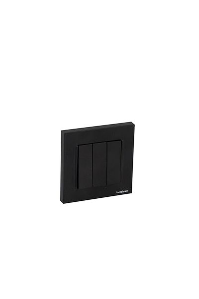 Netelsan Byobu Black Triple Switch Framed