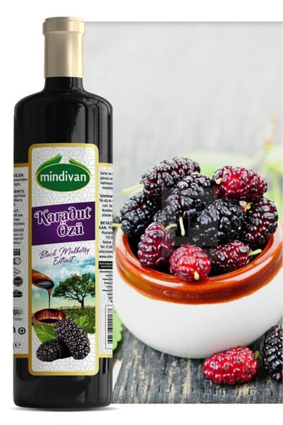 Mindivan Findit Doğal Karadut Özü 700 gr (SOĞUK SIKIM)