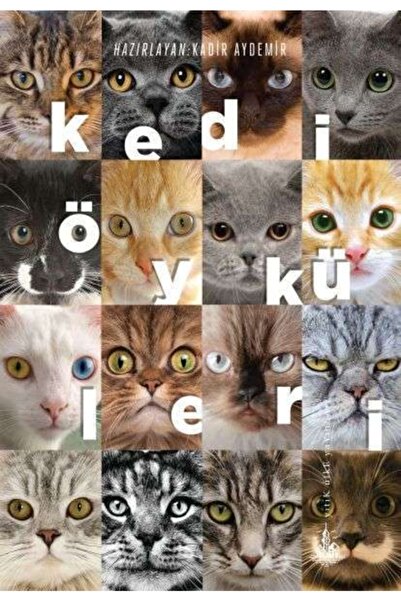 Yitik Ülke Yayınları Kedi Öyküleri Kadir Aydemir