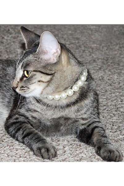 COOL&RELAX Handmade Incili Kedi Köpek Kolyesi Tasması