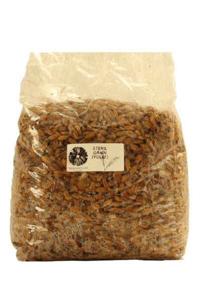 Evde Mantar Steril Yulaf / Hububat 1 Kg - Mantar Miseli Üretmek Için - Mantar...