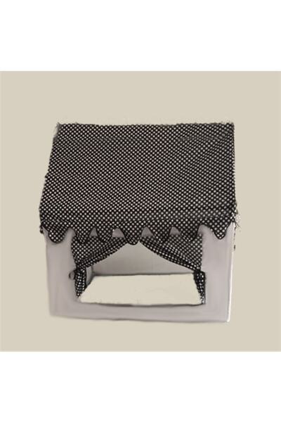 Abbie Rüya Ilk Evim Siyah