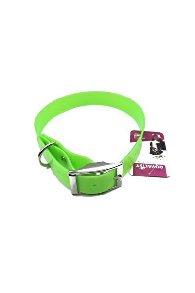 Royalist Köpek Beeper Tasması Plastik 2,5x60 Cm Turuncu