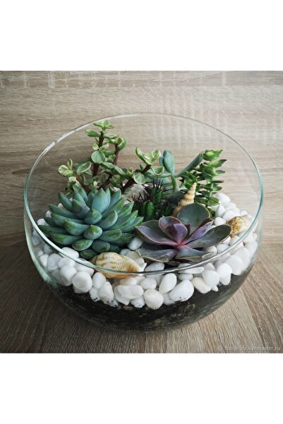 Asenya Akvaryum Taşı 1 Kg 1-2 Cm Beyaz Dolomit Bahçe Taşı Çakıl Taşı Saksı Ta...