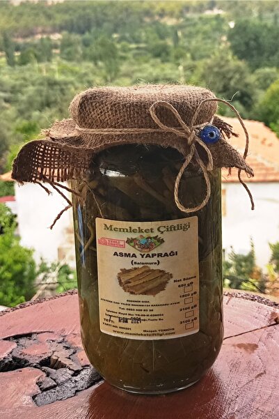 Salamura Asma Yaprağı 1 Kg Cam Kavanoz