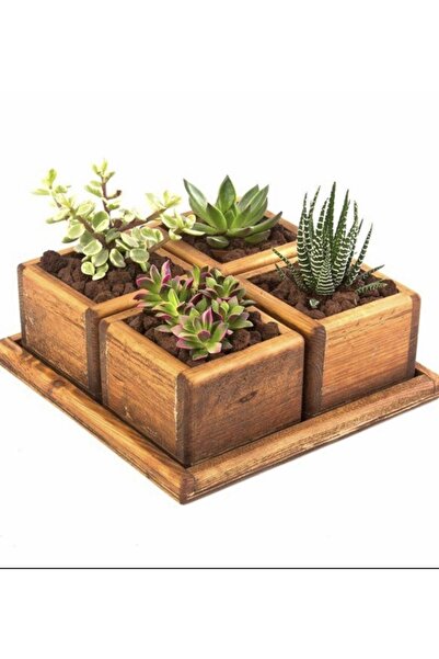 Genel Markalar Ahşap Saksı, Skulent 10x10yükseklik 8 Cm