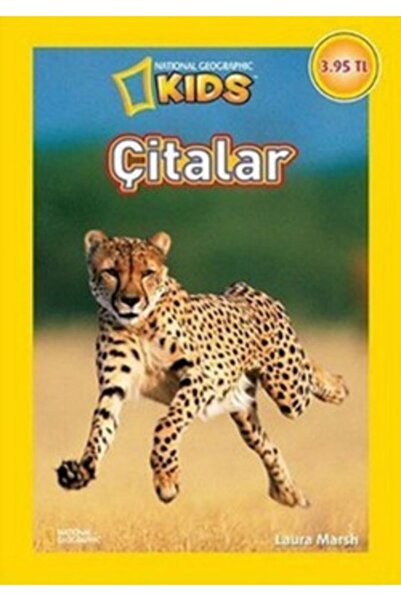Beta Kids Çitalar