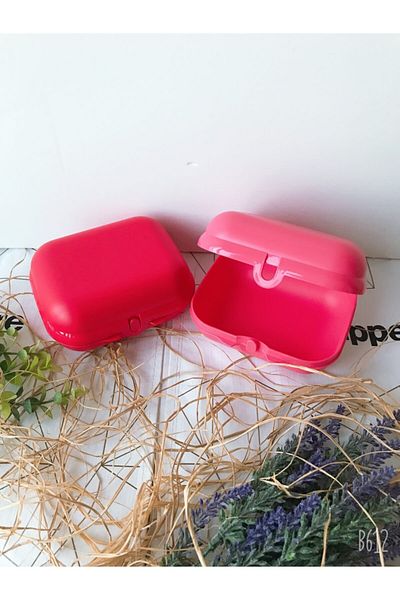 Tupperware Feeding Bowl 2 Pieces