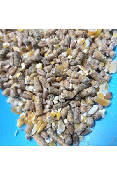 CP Karışık 2 Kg Tavuk Tavşan Hamster Bıldırcın Yemi