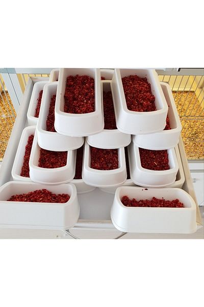 Fit Fly Floor Food Holder for Birds