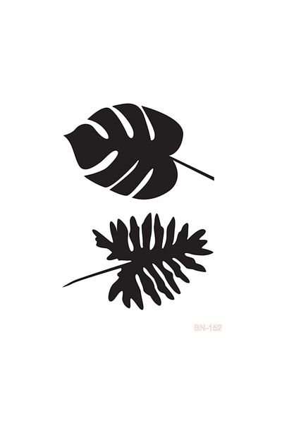Cadence Bn-152 Model 25x35 Series Stencil
