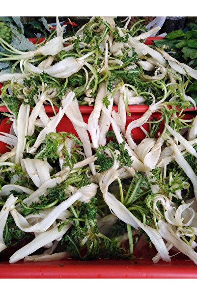 Karareis Çiftliği Taze Şevketi Bostan 500 G