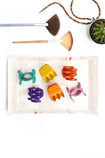 Monalisa Kadın 6 Adet Soft Renklerde Mandal Toka Seti