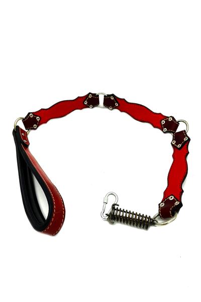 Tasma Market Lion Head Leather Dog Walker Leash Red Color Leash