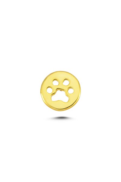 Mini Pin Pati Gümüş Üzeri 14k Altın Kaplamalı Broş/rozet