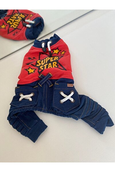 Pawstar Super Star Tulum Kedi Köpek