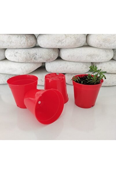 Asenya Üretim Saksısı 5,5x5 Cm 50 Adet Kırmızı Renkli Kaktüs Üretim Saksısı S...