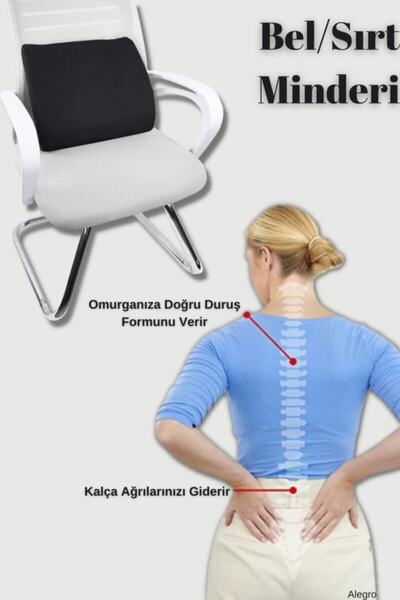 Viscomina Ortopedik Bel Ve Sırt Destekleyici Oto Minderi Ofis Bel Minderi San...