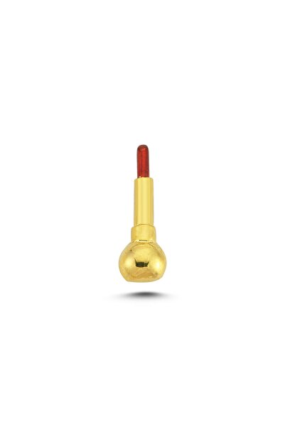 Mini Pin Kırmızı Ruj Gümüş Üzeri 14k Altın Kaplamalı Broş/rozet