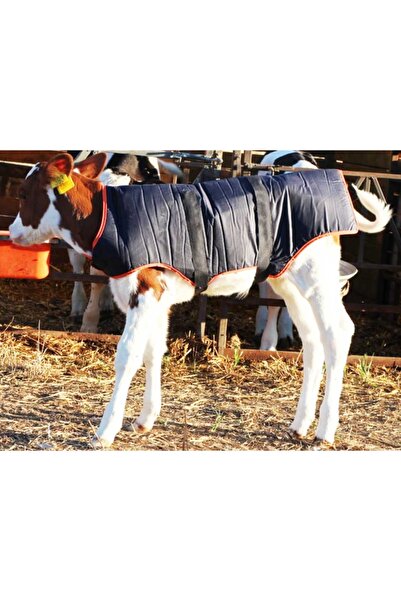 Genel Markalar Buzağı Battaniyesi 80 Cm