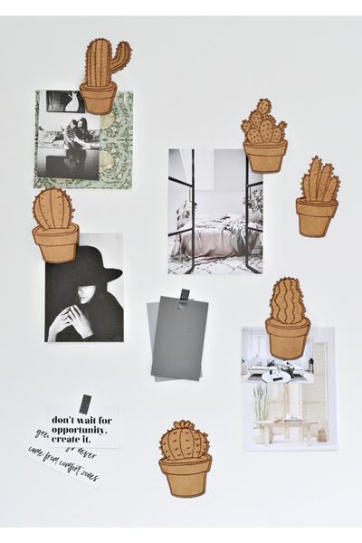 Revnak Dekorasyon Kaktüs Modelli 6'lı Magnet