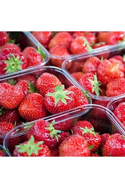 İlker Sebze ve Meyve Taze Çilek, 1 Kg